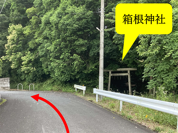 右手に箱根神社の鳥居が見えますので、そのまま道なりに左へ進みます。